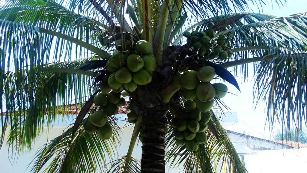 Adriana Beach Pousada Ilha Comprida Buitenkant foto